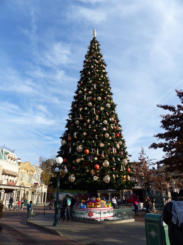 TR séjour magique & topissime à Disneyland Paris - Sequoia Lodge (GFC) - du 17/12/13 au 20/12/13 [Saison 3 Terminée - Épisode 11 – Épisode final !  posté le 25/11/2014 !] - Page 3 P1000429