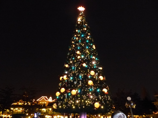TR séjour magique & topissime à Disneyland Paris - Sequoia Lodge (GFC) - du 17/12/13 au 20/12/13 [Saison 3 Terminée - Épisode 11 – Épisode final !  posté le 25/11/2014 !] - Page 9 P1000732