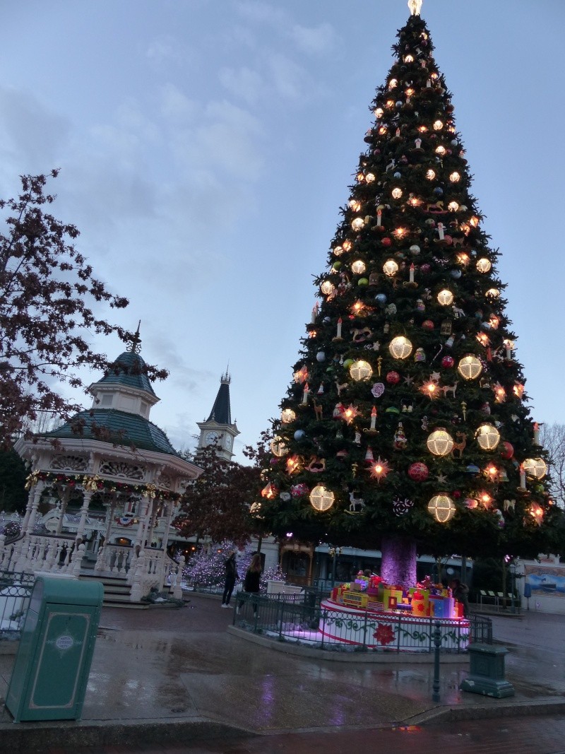 TR séjour magique & topissime à Disneyland Paris - Sequoia Lodge (GFC) - du 17/12/13 au 20/12/13 [Saison 3 Terminée - Épisode 11 – Épisode final !  posté le 25/11/2014 !] - Page 18 P1010452