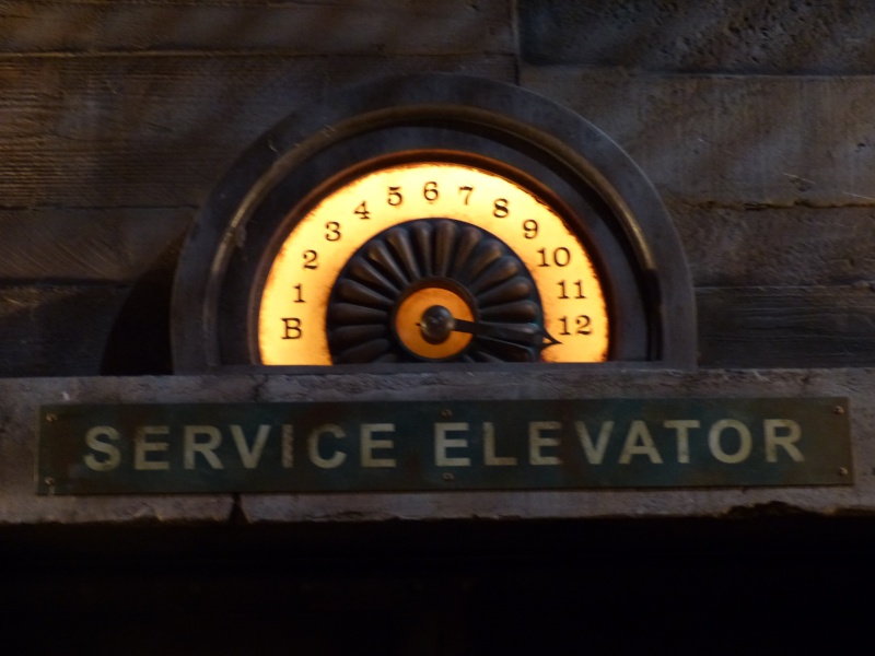 TR séjour magique & topissime à Disneyland Paris - Sequoia Lodge (GFC) - du 17/12/13 au 20/12/13 [Saison 3 Terminée - Épisode 11 – Épisode final !  posté le 25/11/2014 !] - Page 20 P1010544