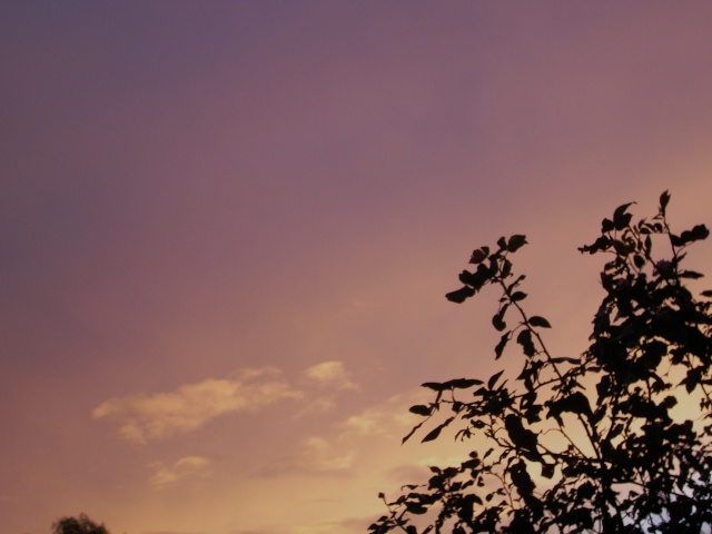 crépuscule en Provence Sany0136