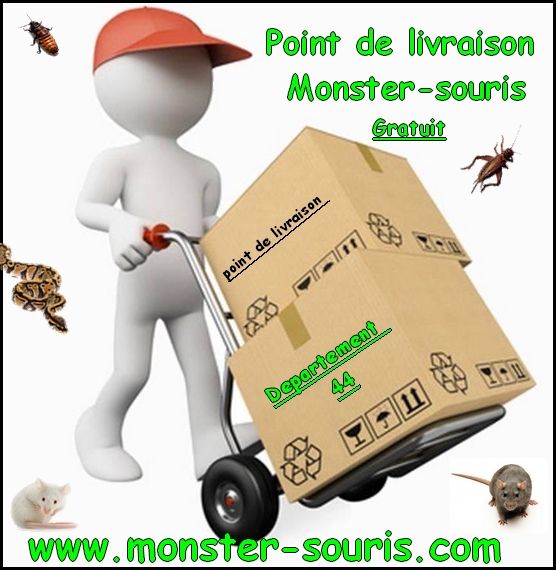 Point de livraison gratuit (Dept 44) 18/07/2014 à Carquefou Point_10