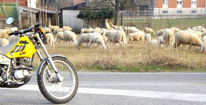 venerdì 17: giretto col sole Motolt16