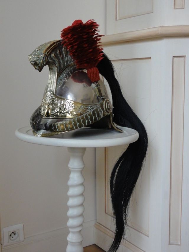 Le casque de dragon modèle 1874 (Troupe et officiers)  11710