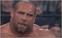 EWR Fantasy - Hogan achète la WCW (2001) - Page 4 Goldbe13