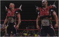 EWR Fantasy - Hogan achète la WCW (2001) - Page 2 Road10