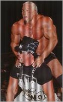 EWR Fantasy - Hogan achète la WCW (2001) - Page 4 Stiner10