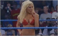 EWR Fantasy - Hogan achète la WCW (2001) - Page 3 Torrie13