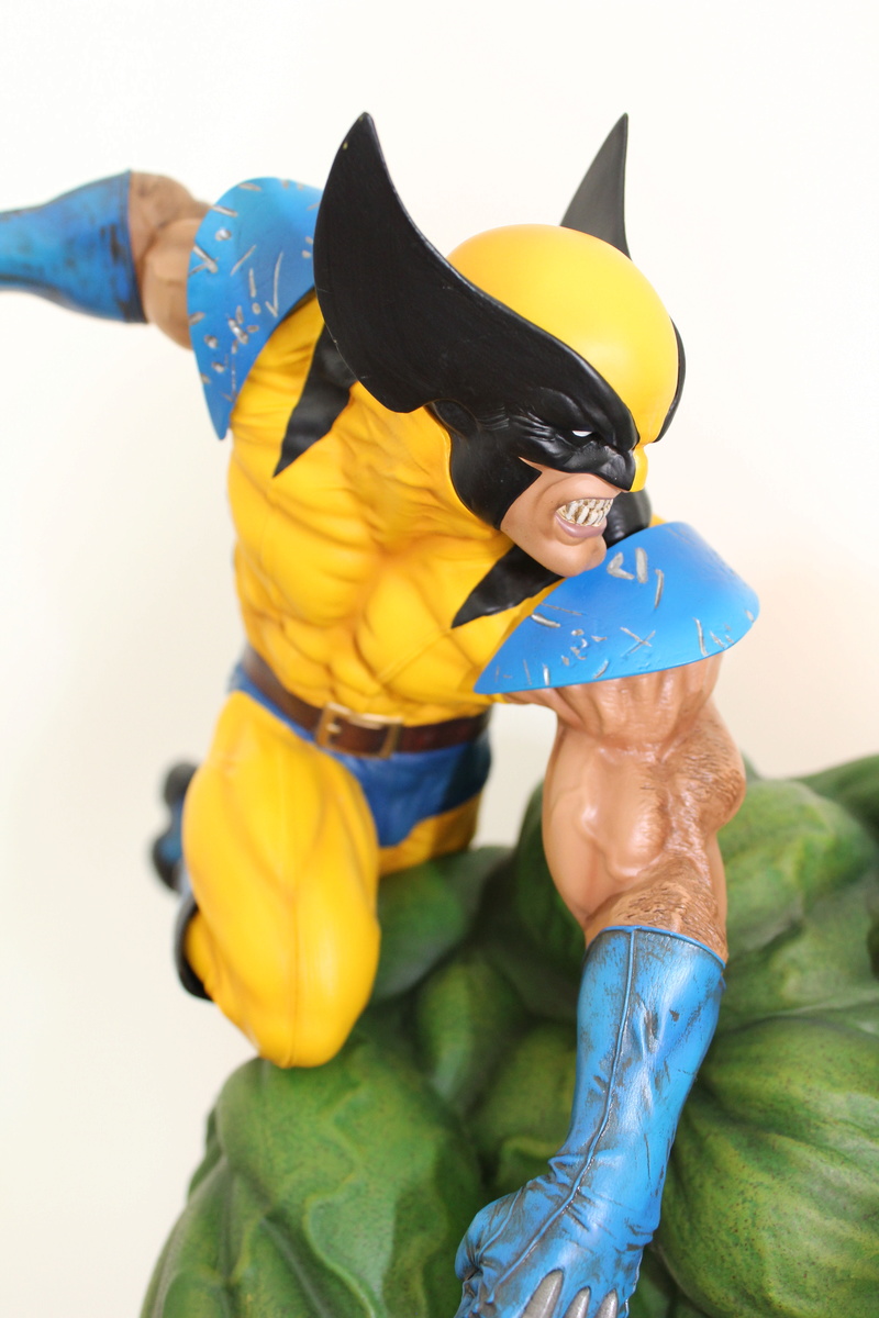 HULK VS WOLVERINE Maquette - Page 7 Img_5825