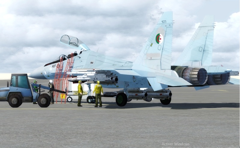Bear Studios Su-30MK P3D Su0211
