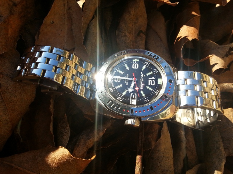 Ma Vostok Amphibian Classic 710640 20131210