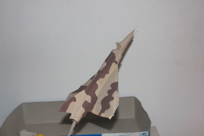 *1/48  Mirage 5 P   Kinetic    FINI - Page 2 Img_2324