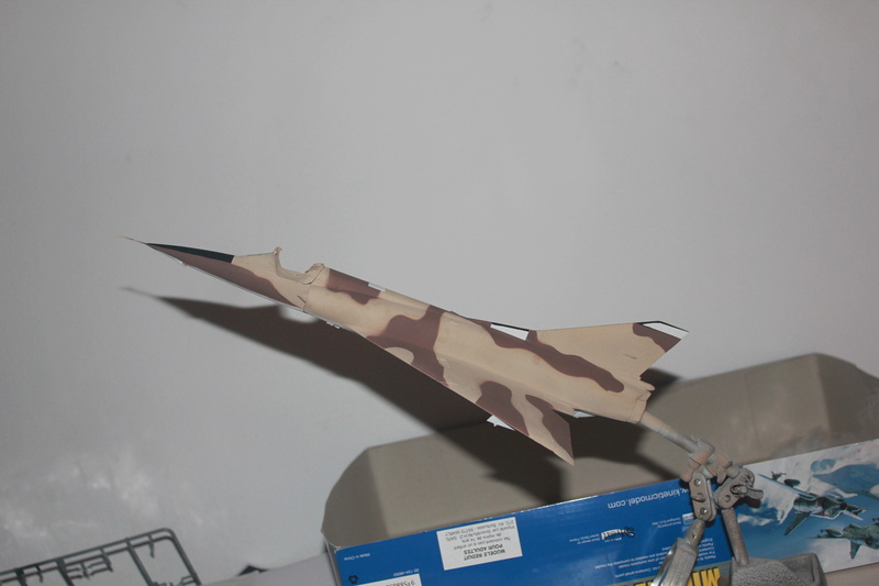 *1/48 Mirage 5 P Kinetic FINI - Page 2 Img_2327