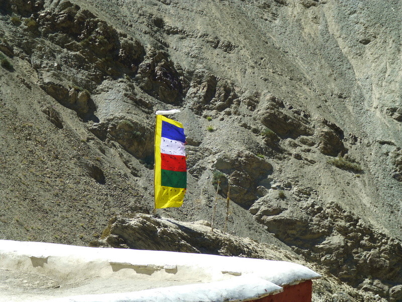 Ladakh 2016 et nord de L'Inde. P1050111