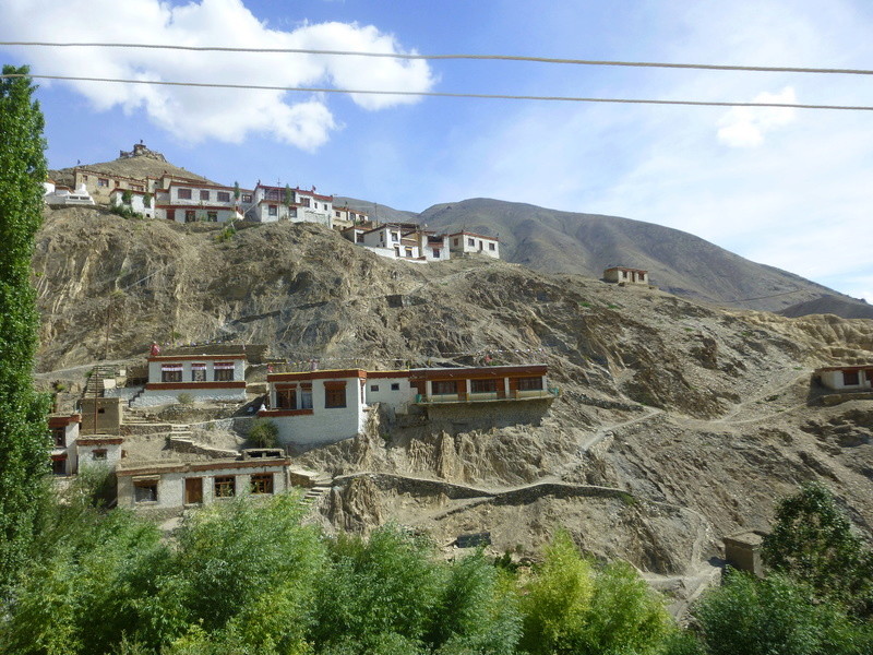Ladakh 2016 et nord de L'Inde. P1050112
