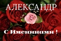    АЛЕКСАНДР Roses-10