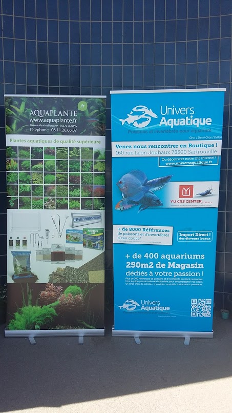 Aquaplante région parisienne 20170519