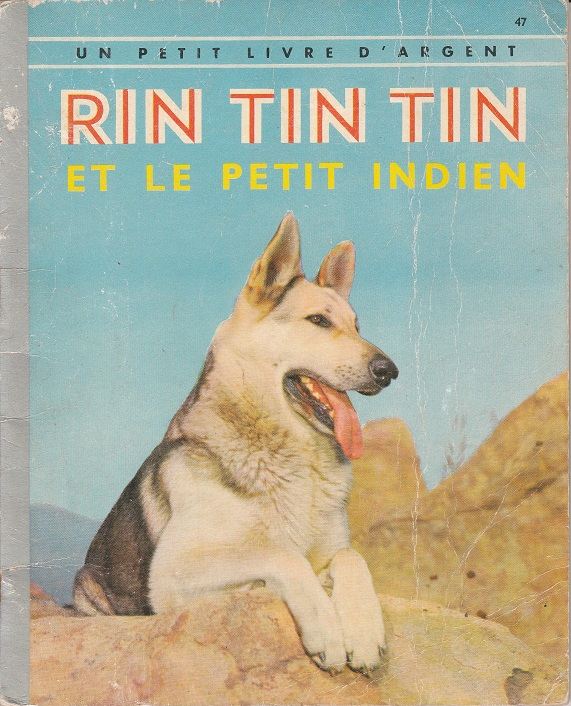 You-Hou Rin-Tin-Tin ! Img_2073