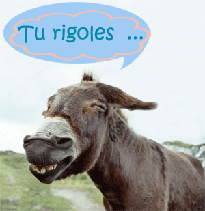 Papotages sur nos votes - Page 6 Anetur11