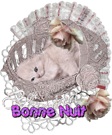 booster le forum - Page 4 Blogg311