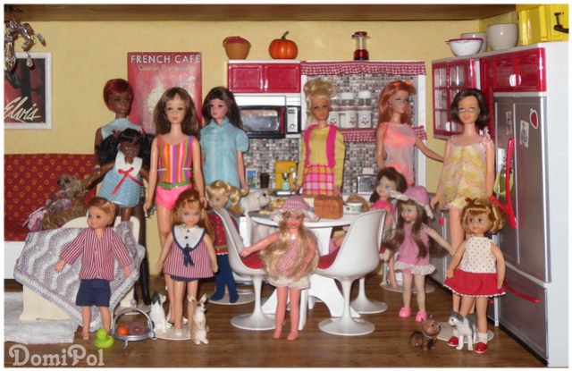 Mes Barbies & autres vintages de la famille! - Page 3 Family10