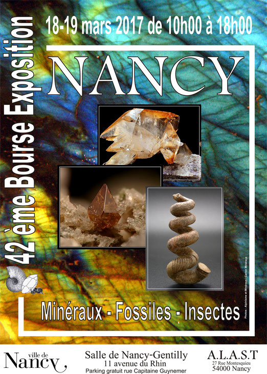 Exposition minéraux fossiles insectes Image11