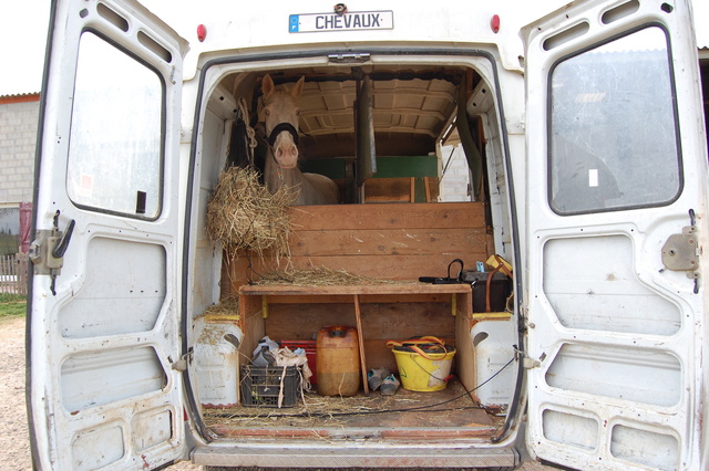 camion chevaux permis B Dsc_0013