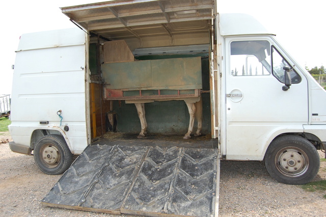 Camion chevaux cheap permis b