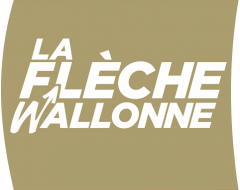 LA FLECHE WALLONNE  --B--  19.04.2017 Fleche10