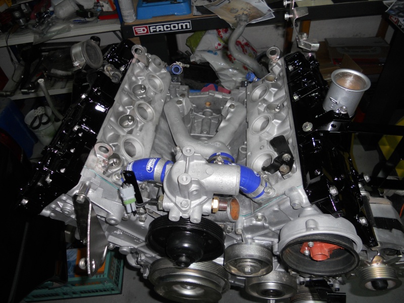 Refection moteur et boite d'une Alpine GTA Le Mans - Page 10 Dscn3125