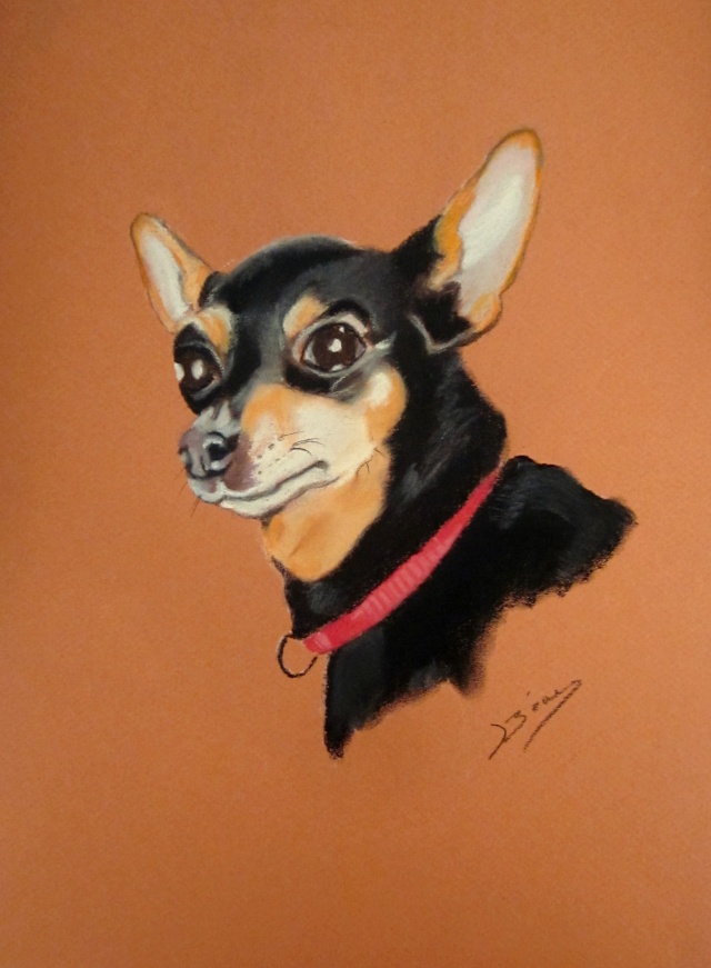 pinscher pastels secs 24X32 Img_0337