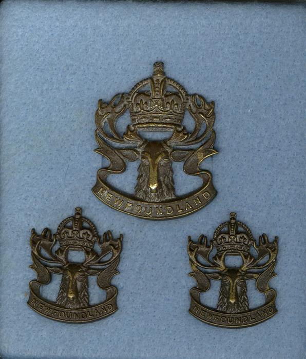 Winnipeg Grenadiers and Royal Rifles of Canada and Newfoundland Regiment Newfou10