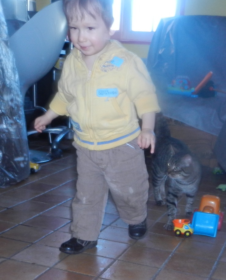 [SAUVETAGE] CÂLIN , européen brun tabby,  4 ans  , M - Page 2 Dscn3223