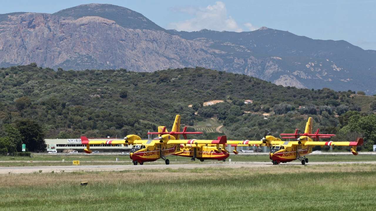 AJACCIO Campo dell'Oro Mai 2017. - Page 4 Img_4025