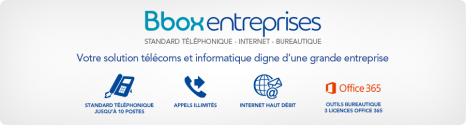 Nvlle Bbox Entreprises en association avec Microsoft par Bouygues Telecom 13969310