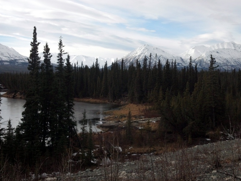 Riceme sent these beautiful pictures from way up North ..in Alaska ! Mel210