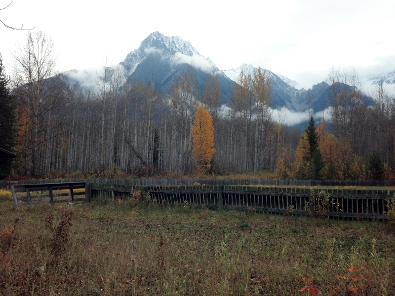 Riceme sent these beautiful pictures from way up North ..in Alaska ! Melind10