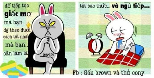 Gấu Brown và thỏ Cony đối thoại tình yêu 10102711