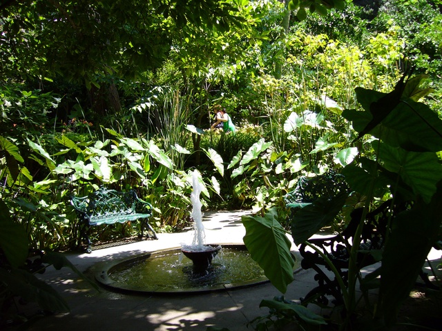 LES JARDINS MORTELLA (Italie) 2db69210