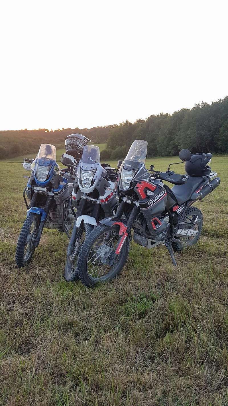 les sorties dans le sud ouest - Page 39 19339910