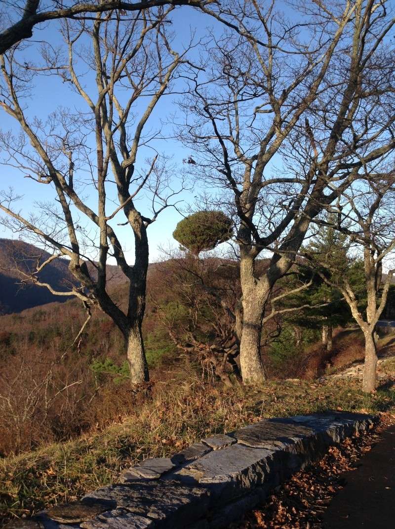 Took a drive on Skyline Drive in the Blue Ridge Mountains! 2013-121