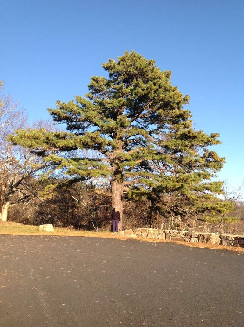 Took a drive on Skyline Drive in the Blue Ridge Mountains! 2013-123