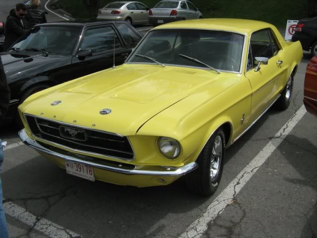  Plusieurs photos : Ford Mustang ...de 1967 à 1968 Fordmu13