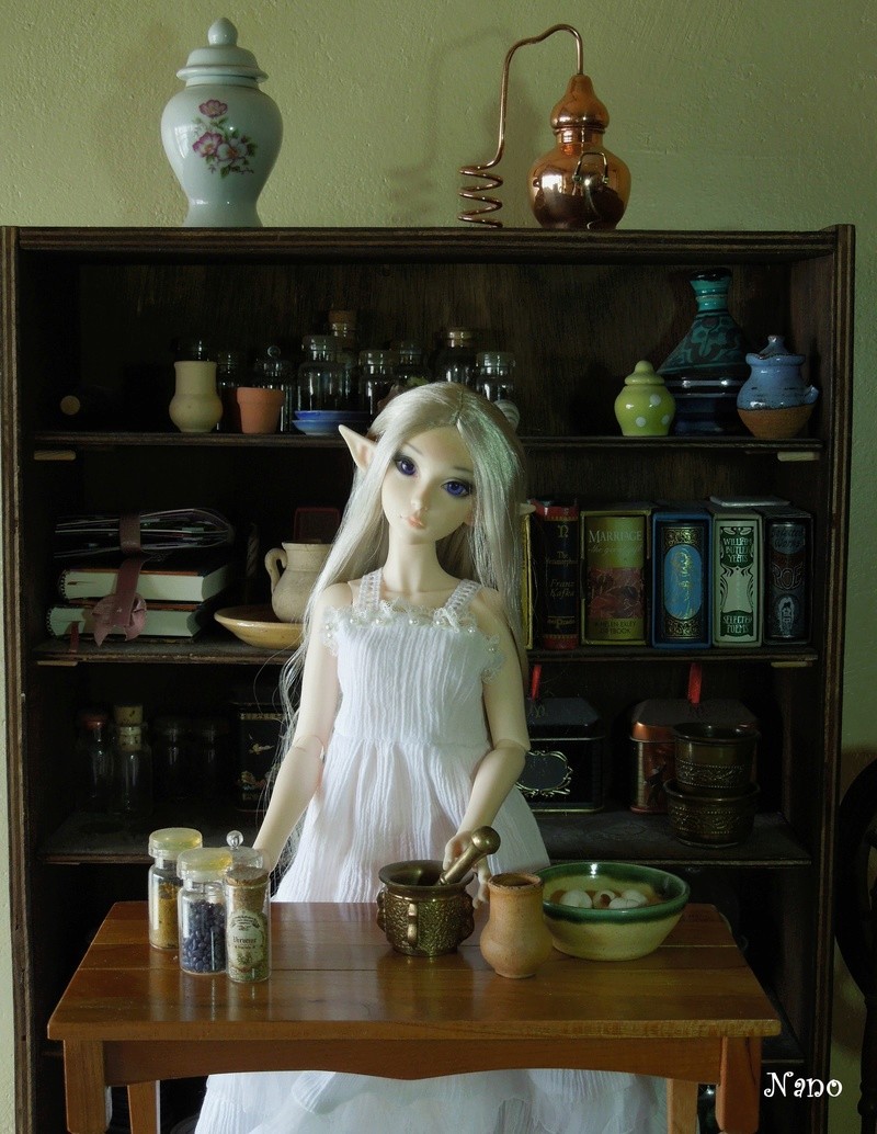 Ma petite famille de BJD (Souldoll, Fairyland, Raccoon doll) - Page 3 Dscn6623