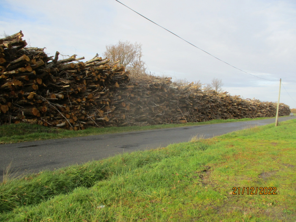 la déforestation française Img_3717