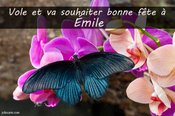 [Fêtes/Vœux] Bonne Fete EMILE Emile10