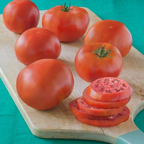 New England June 2017 Tomato10