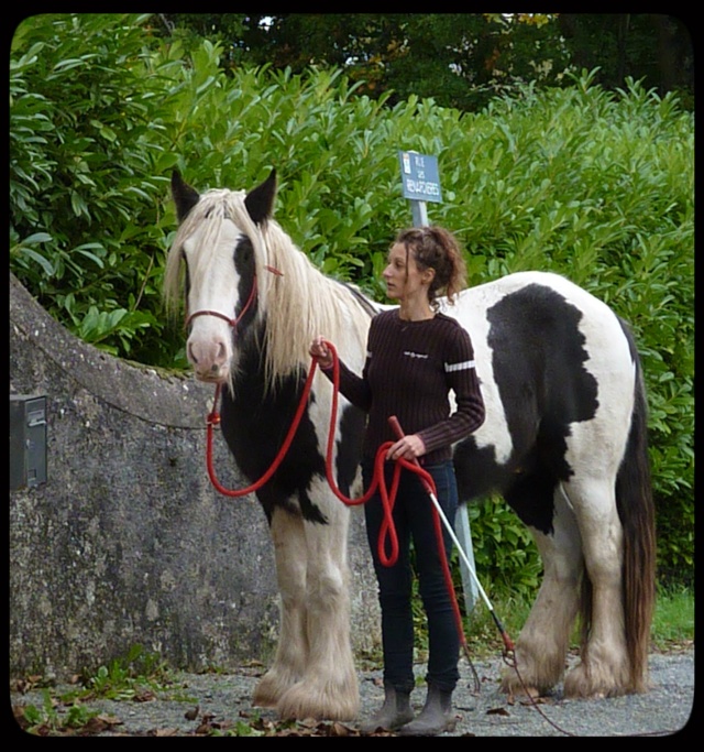 Bodhran des Chenus,STAGE,photos, vidéo p8, beau gosse en action p9 <3 - Page 4 P1070917