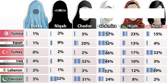 دراسة أمريكية على العالم الإسلامي 74 % من السعوديين يفضلون "النقاب" للمرأة 88417_10