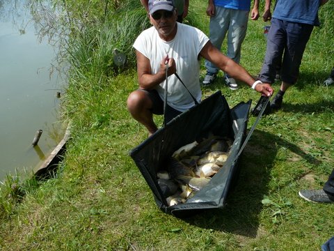 Festival de pêche sur le plan d'eau de Chuzelles (38) les 24 et 25 mai P1130939